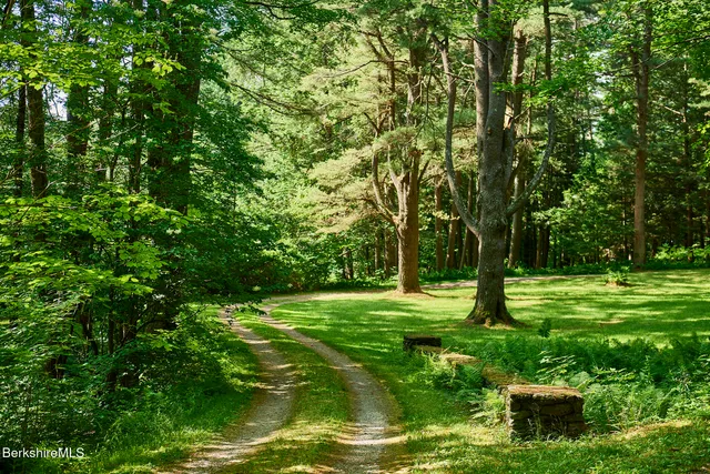 a big yard with lots of green space and trees
