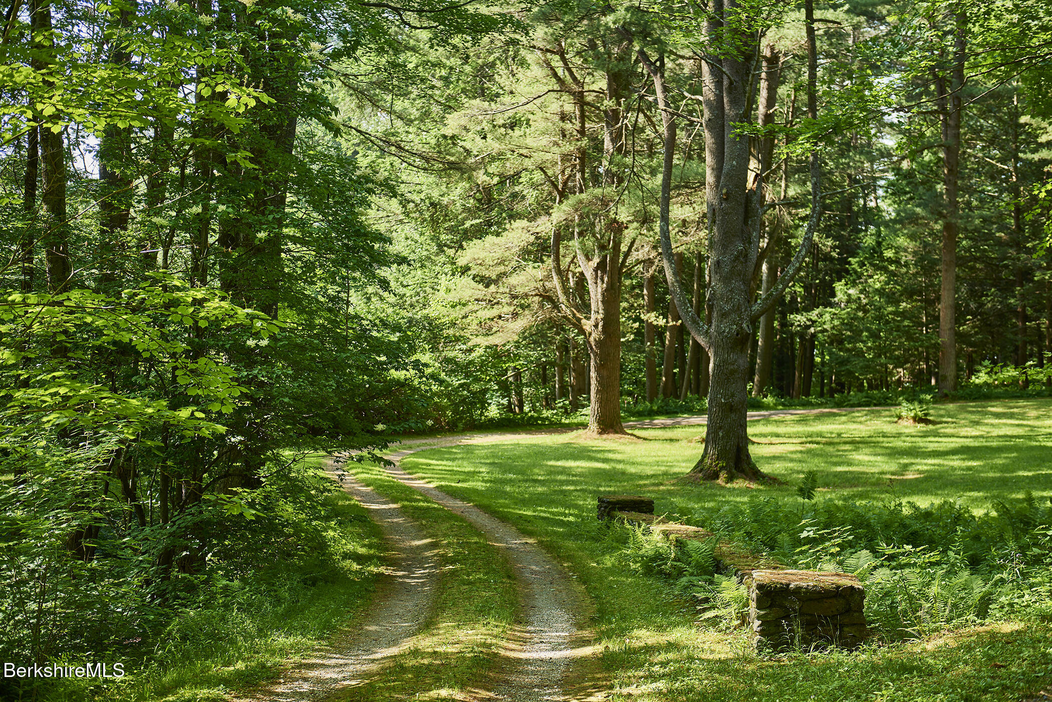 319 Under Mountain Road Lenox, MA 01240 - Photo 4 of 57 a big yard with lots of green space and trees