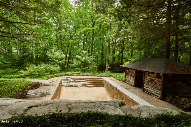 a view of outdoor space and trees in the forest