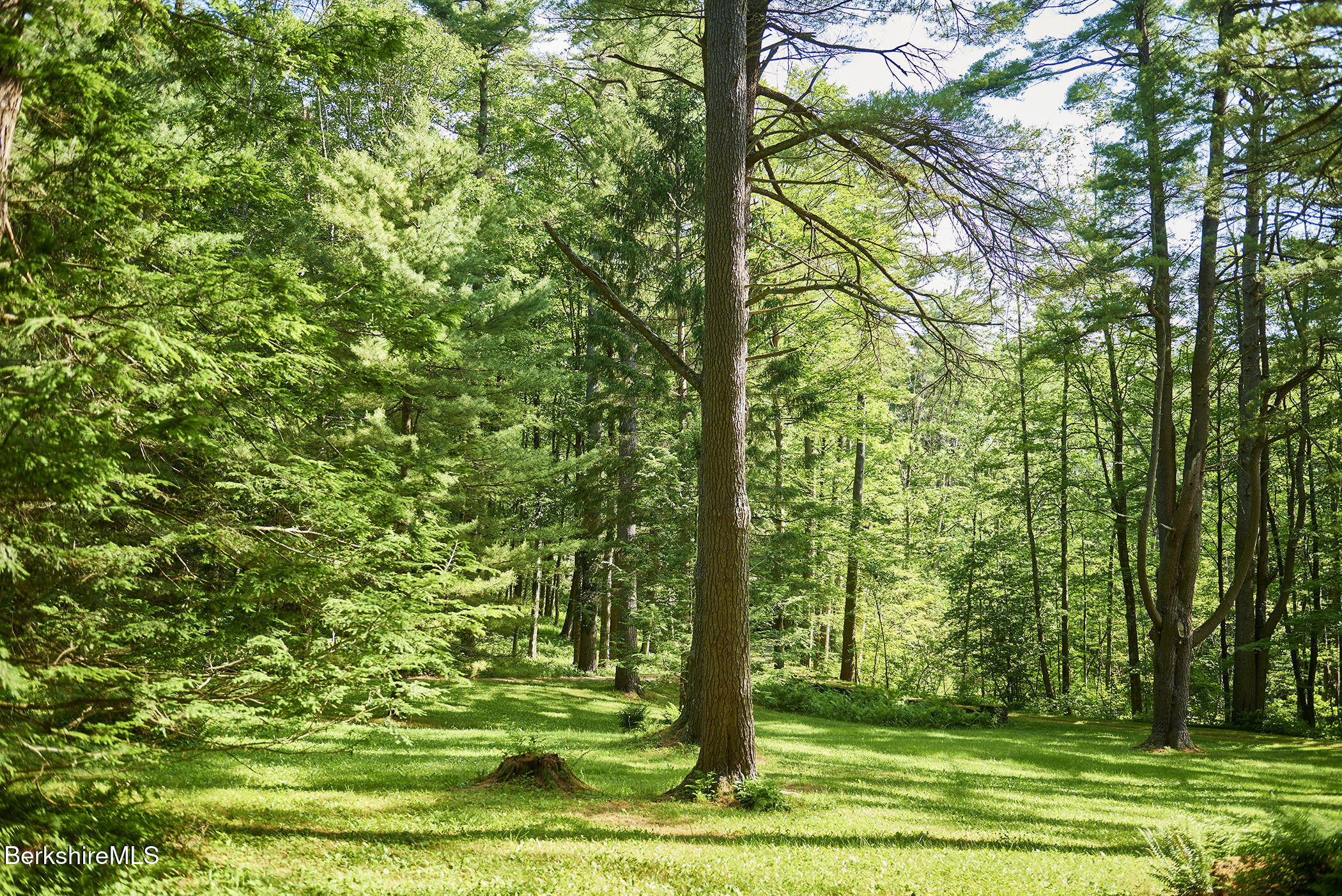 319 Under Mountain Road Lenox, MA 01240 - Photo 5 of 57 a view of a yard
