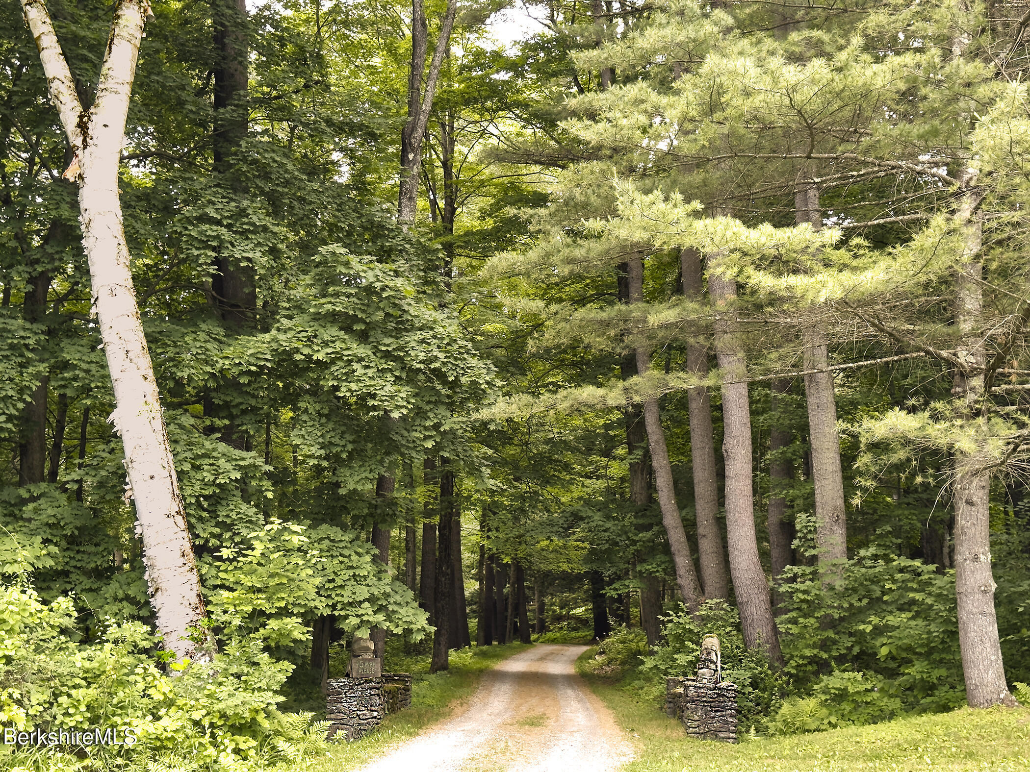 319 Under Mountain Road Lenox, MA 01240 - Photo 57 of 57 a view of a garden