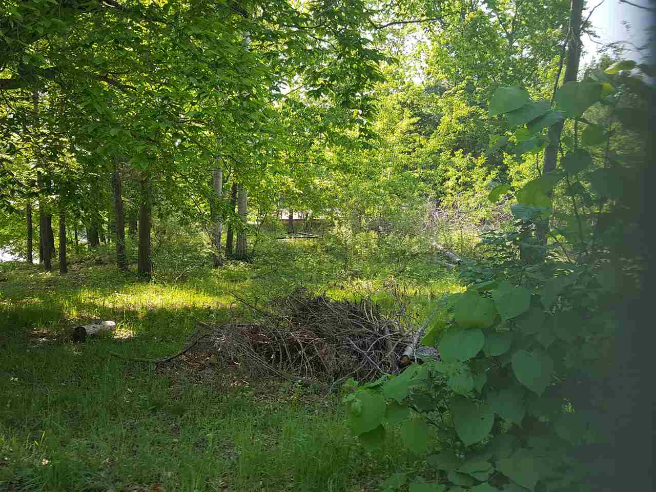 609 White Road Gladwin, MI 48624 - Photo 11 of 22 1847971-12.JPG