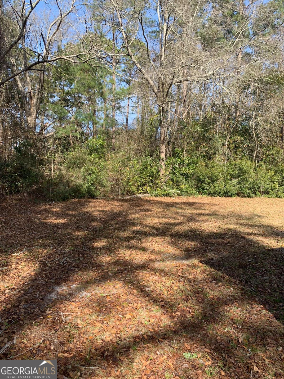 675 North Main Street Baxley, GA 31513 - Photo 17 of 19