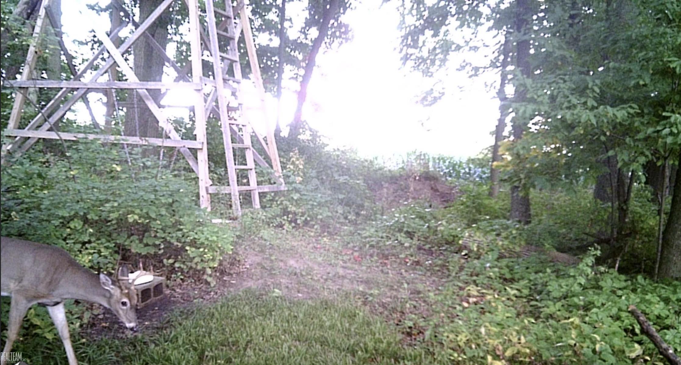6499 Tubspring Road Almont, MI 48003 - Photo 40 of 42 50178862-ab5b3619-493c-4fae-b428-cdde7be6a332.JPG