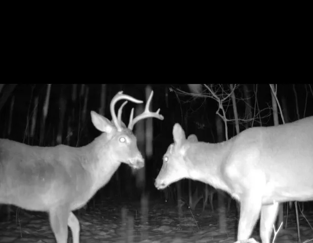 $220,000 | 22903 Waterwheel Drive, Pierson, MI 49339