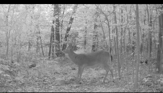 $220,000 | 22903 Waterwheel Drive, Pierson, MI 49339