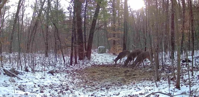 $220,000 | 22903 Waterwheel Drive, Pierson, MI 49339