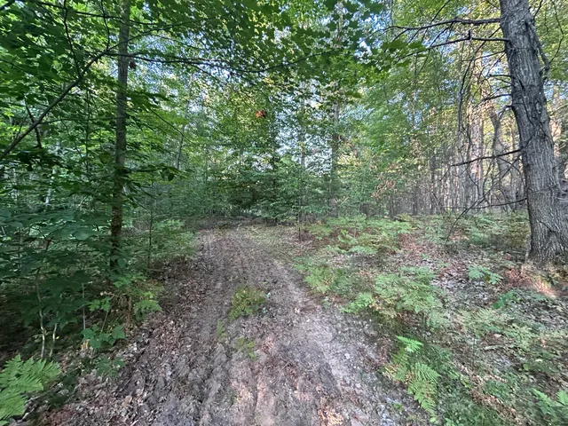 $220,000 | 22903 Waterwheel Drive, Pierson, MI 49339