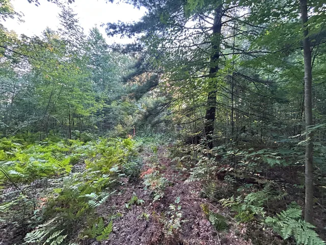 $220,000 | 22903 Waterwheel Drive, Pierson, MI 49339