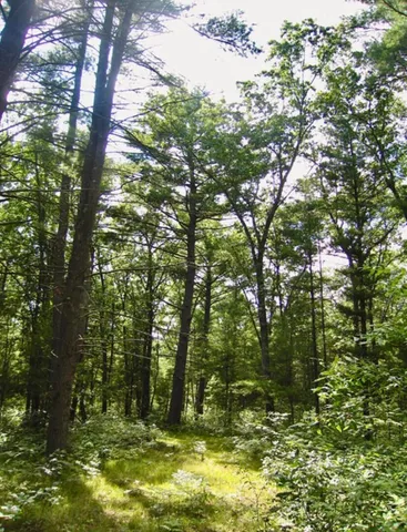 $220,000 | 22903 Waterwheel Drive, Pierson, MI 49339