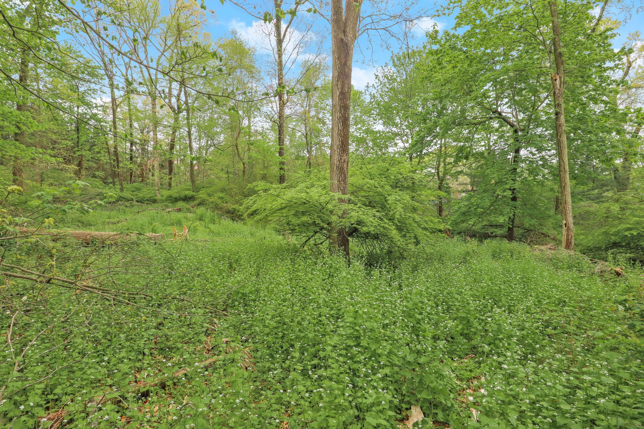 32-3 Orchard Drive Armonk, NY 10504 - Photo 2 of 3 a view of a lush green space