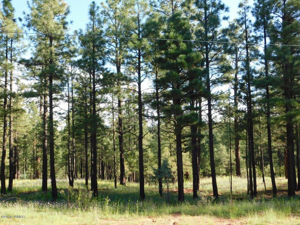 1941 Rim View Lane Heber, AZ 85928 - Photo 3 of 41 a view of lake with green space
