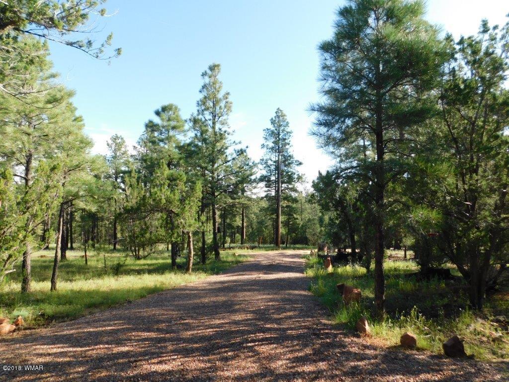 1941 Rim View Lane Heber, AZ 85928 - Photo 4 of 41 a view of a park