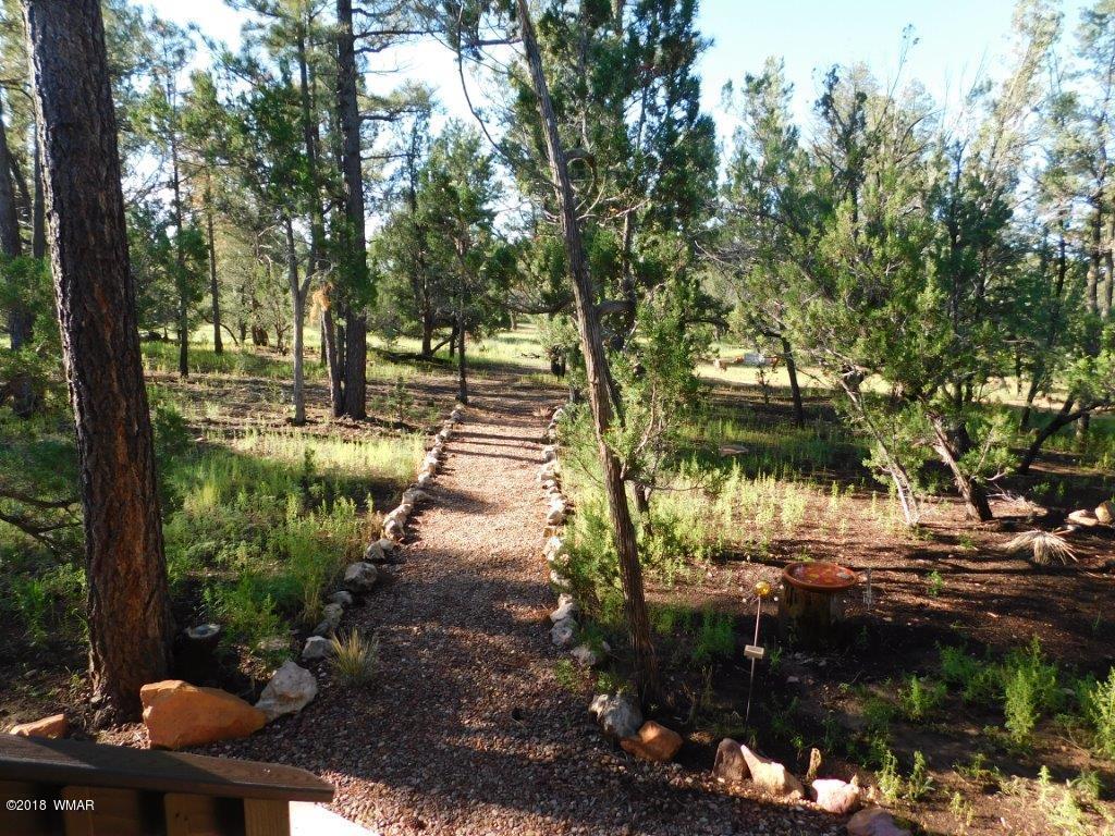 1941 Rim View Lane Heber, AZ 85928 - Photo 7 of 41