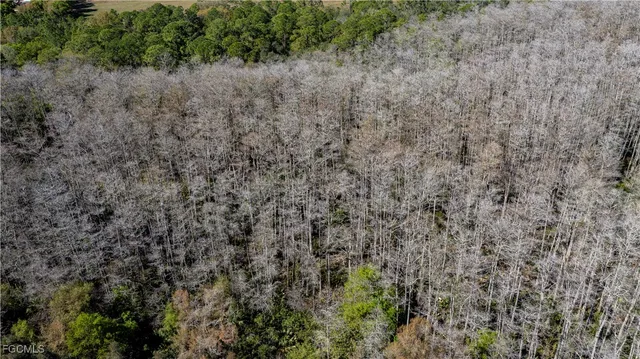 $375,000 | 900 G Road, LaBelle, FL 33935