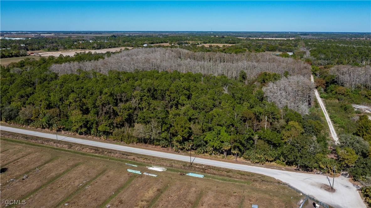 900 G Road LaBelle, FL 33935 - Photo 3 of 15 an aerial view of ocean with residential house with outdoor space and trees around