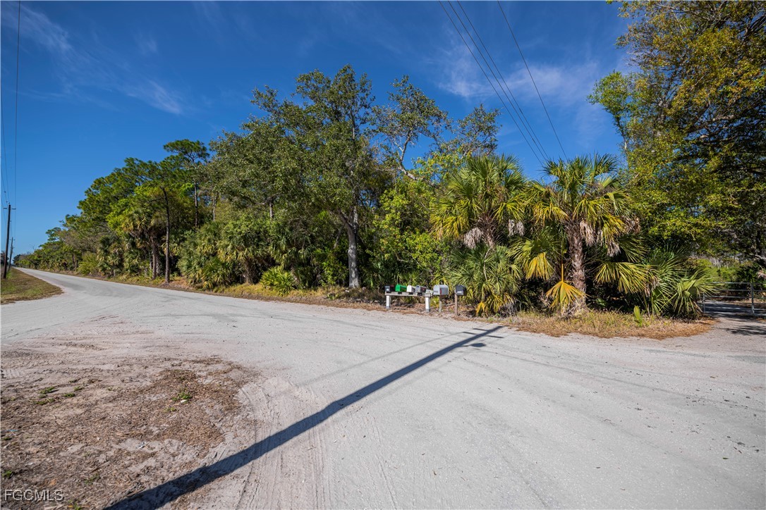 900 G Road LaBelle, FL 33935 - Photo 6 of 15 a view of a yard
