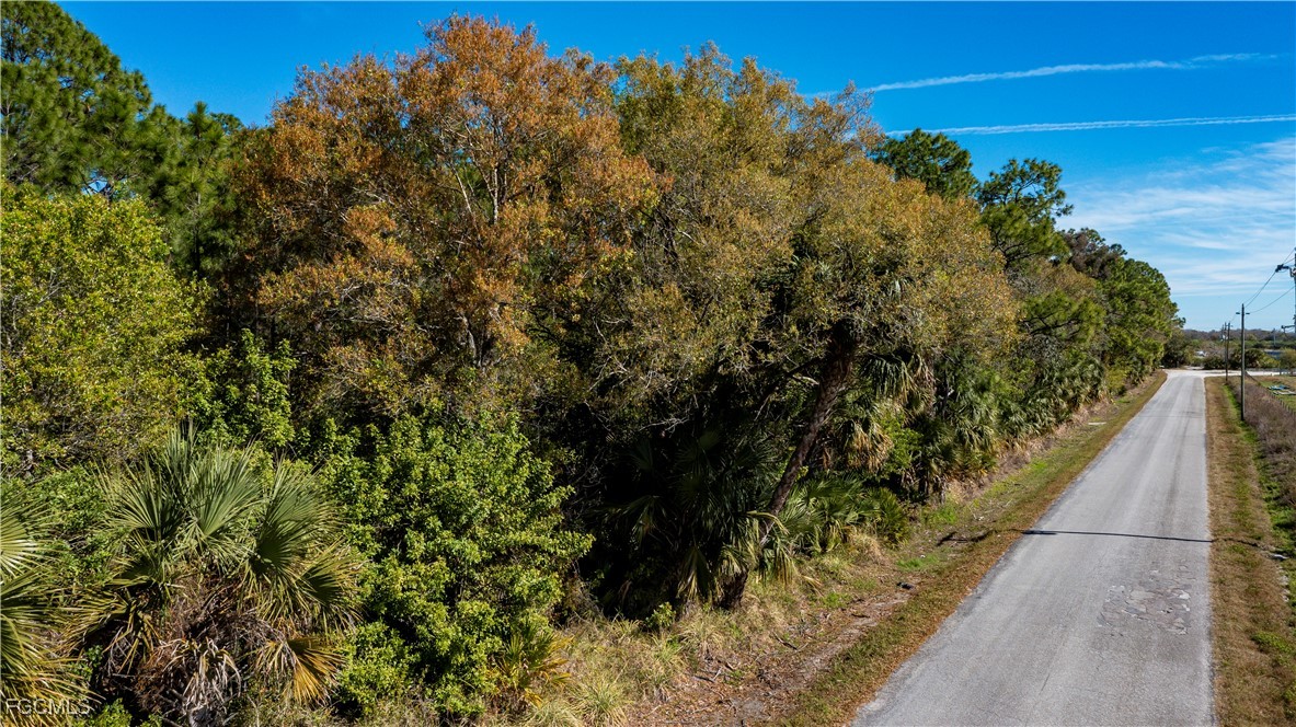 900 G Road LaBelle, FL 33935 - Photo 8 of 15 a view of a garden