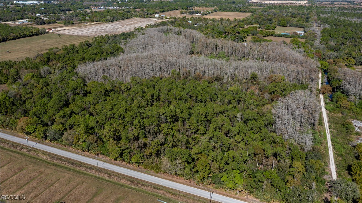 900 G Road LaBelle, FL 33935 - Photo 9 of 15 a view of a forest from a window