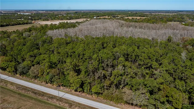 an aerial view of a yard
