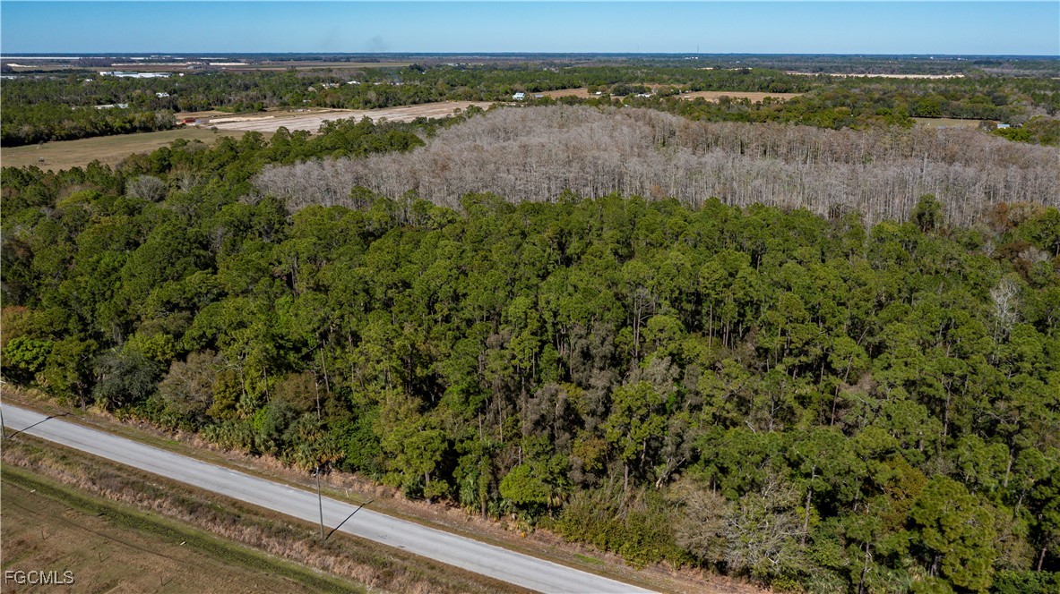 900 G Road LaBelle, FL 33935 - Photo 10 of 15 a view of a lake from a yard