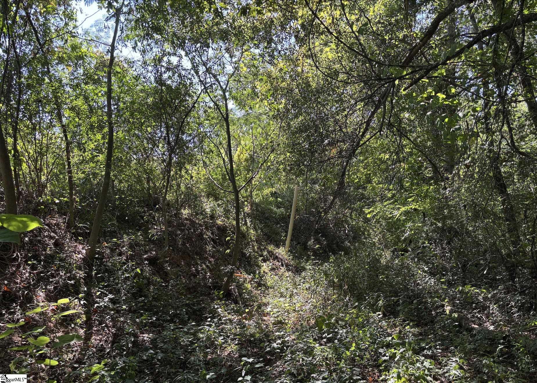 502 New Woodruff Road Greer, SC 29651 - Photo 23 of 26