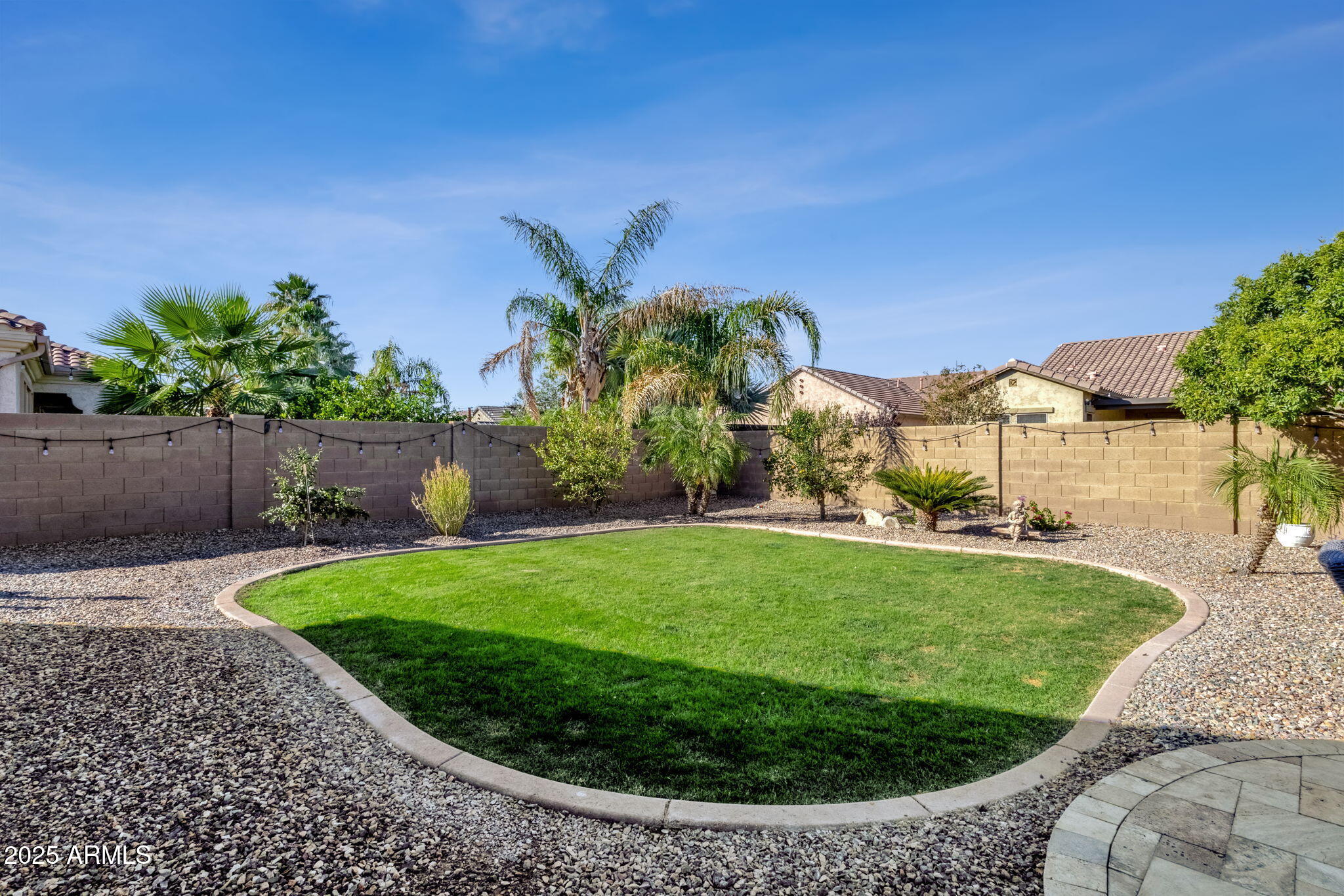 22322 East Rosa Road Queen Creek, AZ 85142 - Photo 57 of 83 Backyard