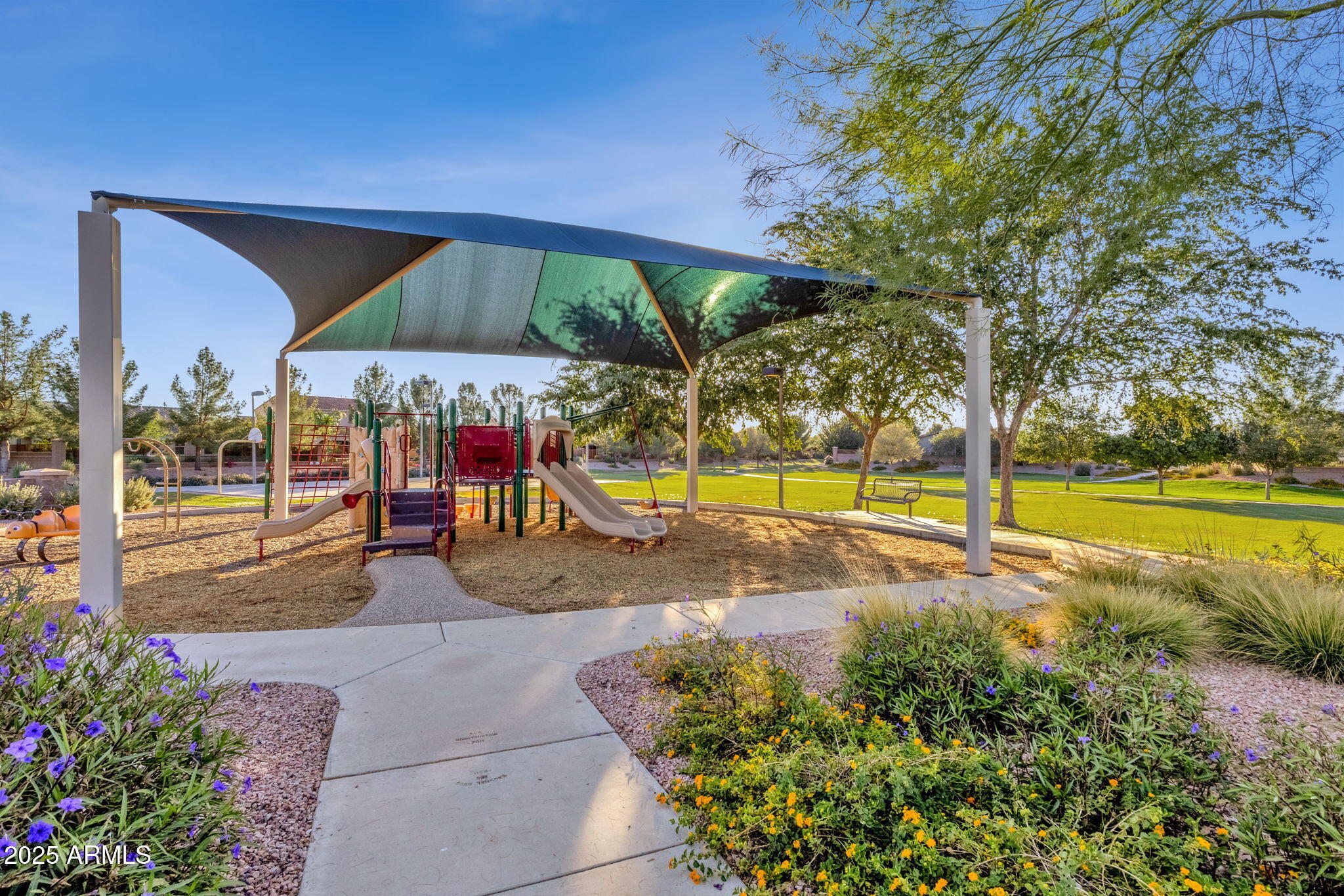 22322 East Rosa Road Queen Creek, AZ 85142 - Photo 70 of 83 a view of a backyard with swimming pool