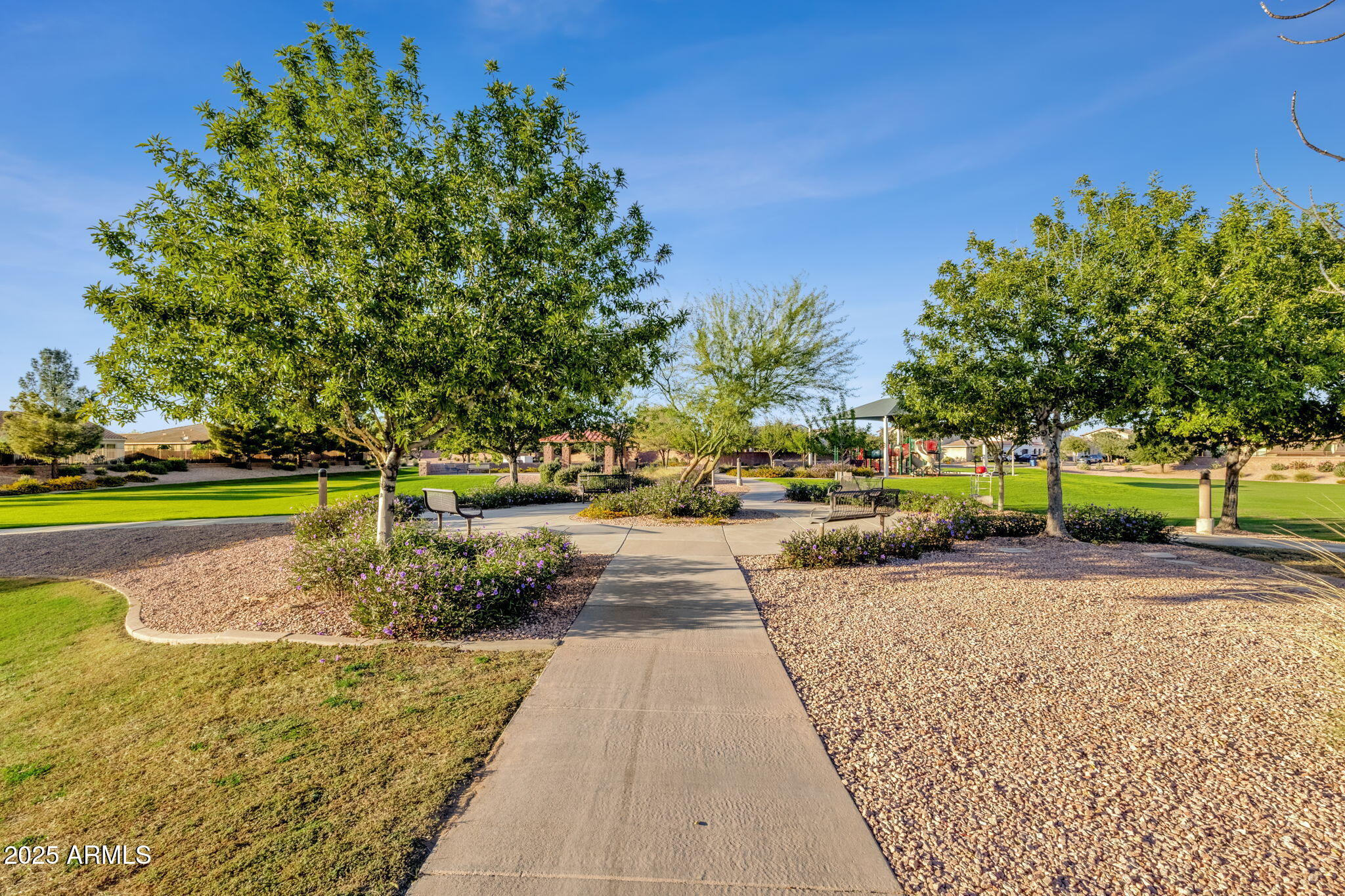 22322 East Rosa Road Queen Creek, AZ 85142 - Photo 73 of 83 Park