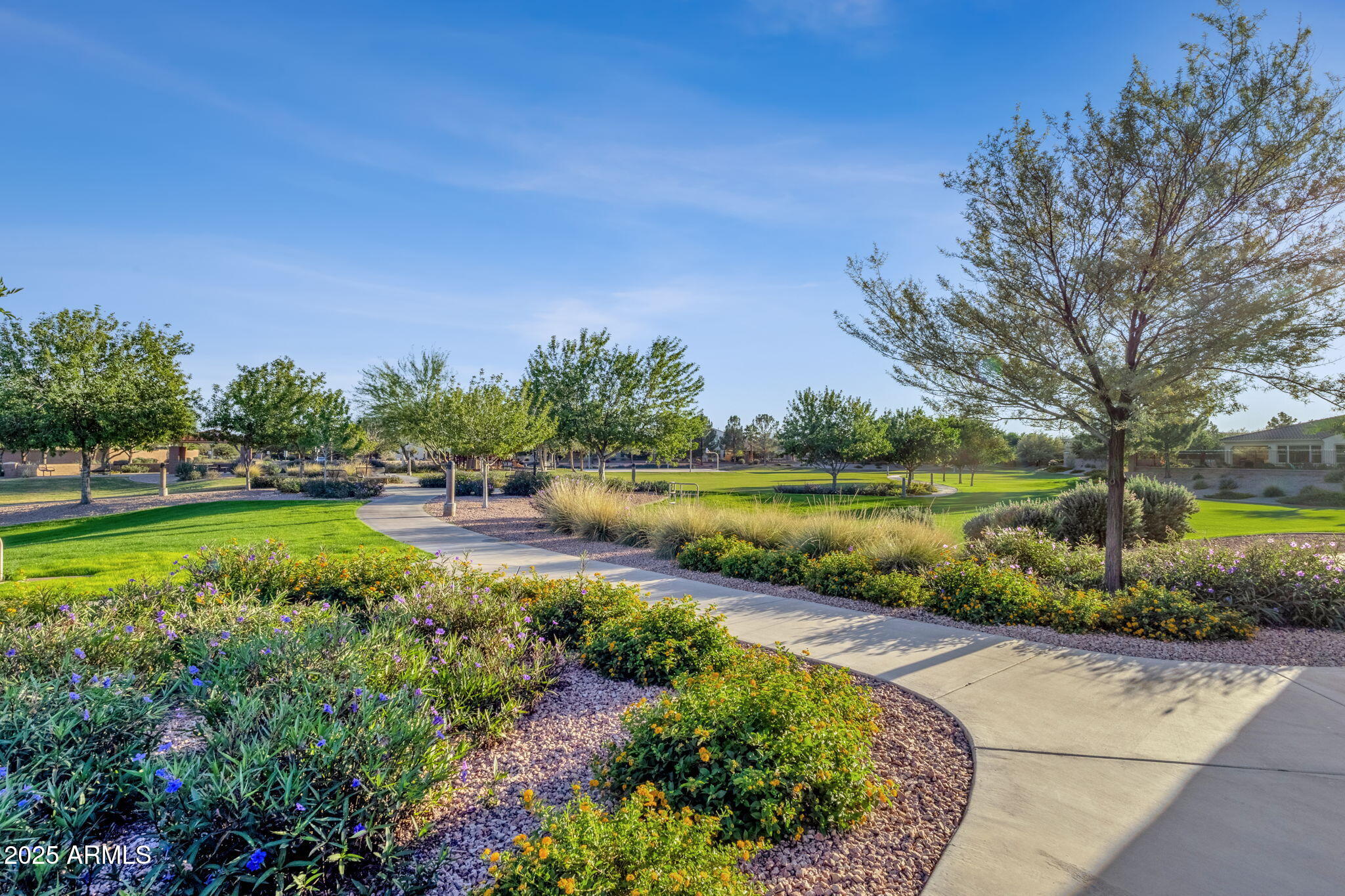 22322 East Rosa Road Queen Creek, AZ 85142 - Photo 75 of 83 Park