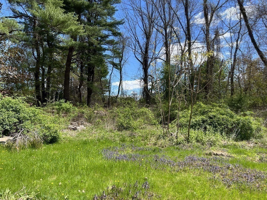 71 Holbrook Road Oxford, MA 01540 - Photo 22 of 42 Gallery Image 22