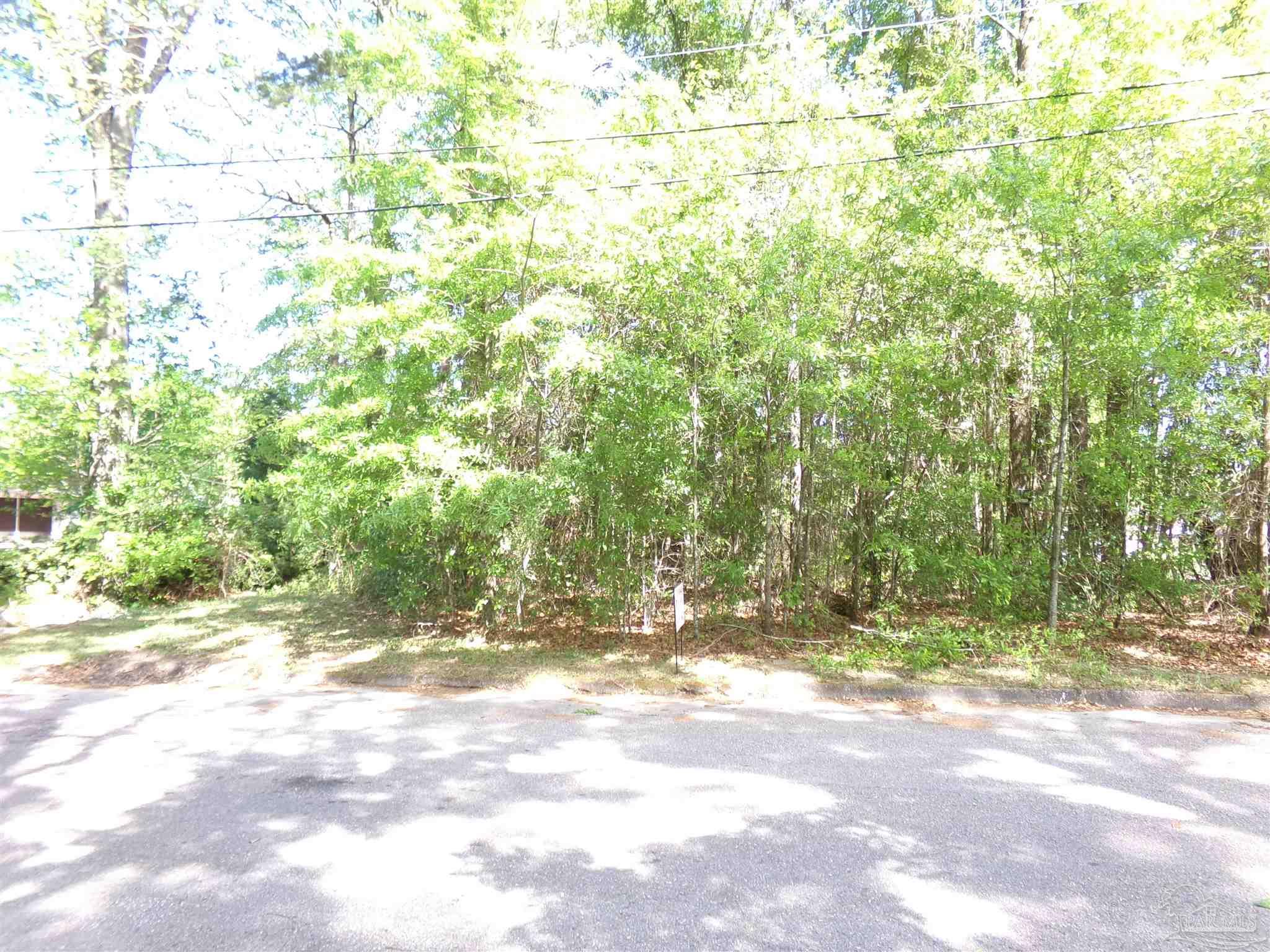 0 Glen Road Brewton, AL 36426 - Photo 4 of 4