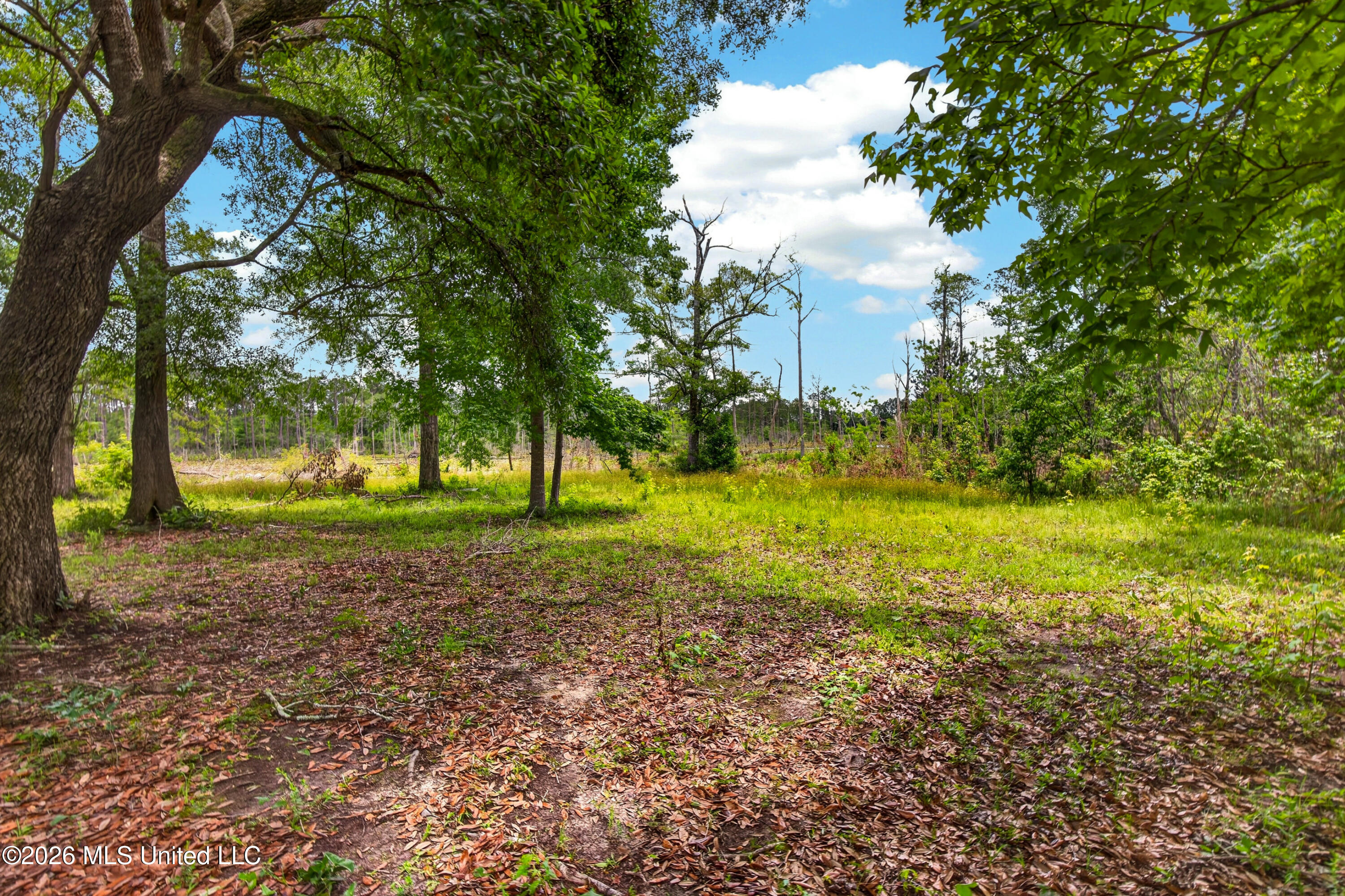 17990 Cuevas Road Kiln, MS 39556 - Photo 46 of 76 17990CuevasRd.-24