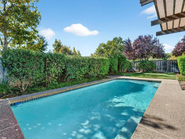 a view of a backyard with table and chairs and potted plants and large tree