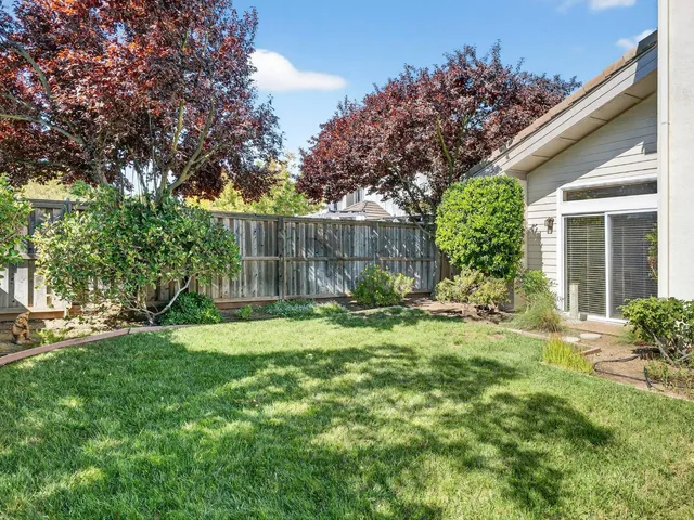 a view of a grassy field with trees in the background