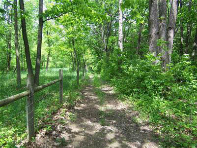 7200 Coldwater Road Flushing, MI 48433 - Photo 10 of 15 20281809-9.JPG