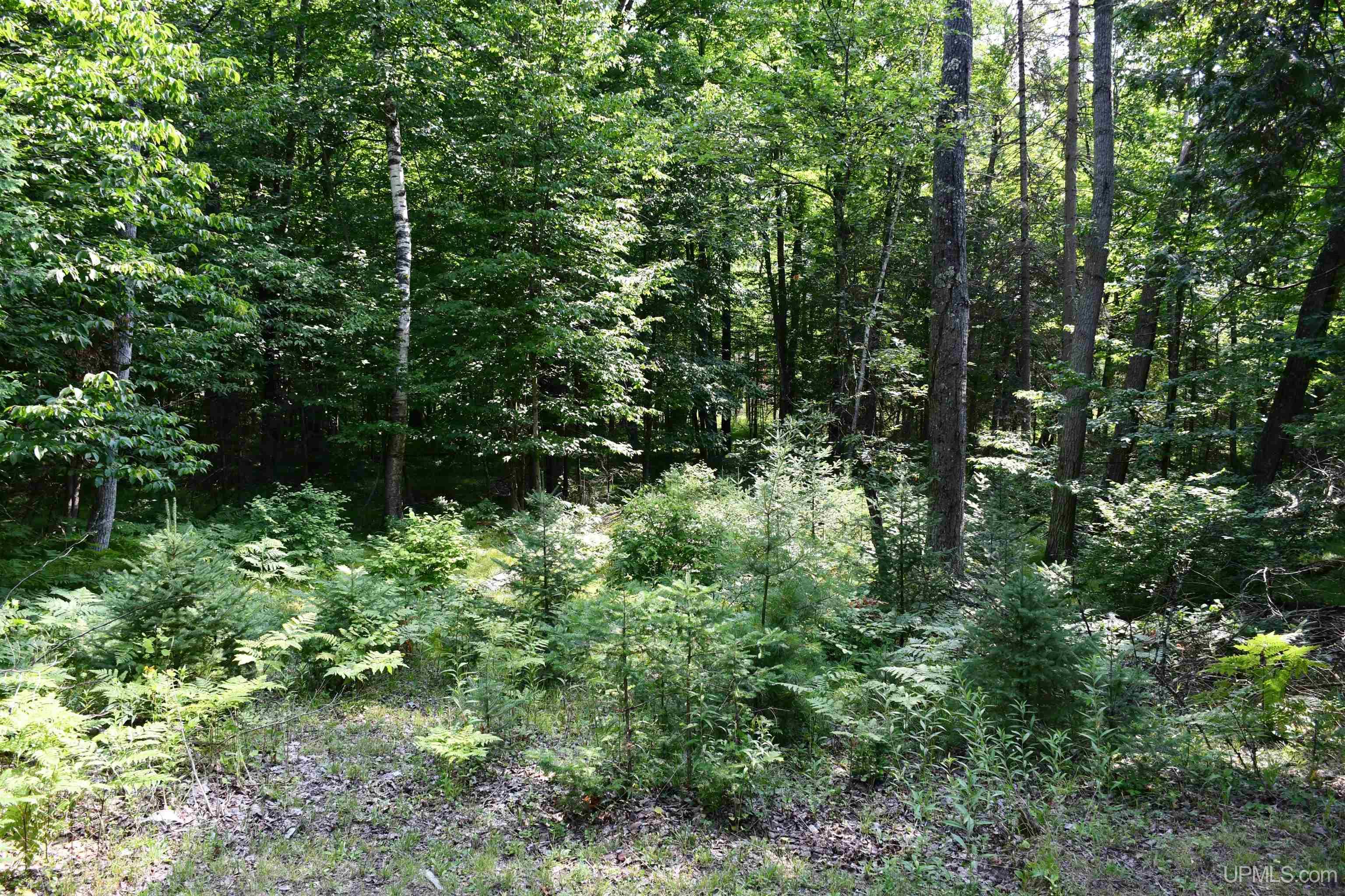 N11370 Cr 577 Road Daggett, MI 49821 - Photo 16 of 38