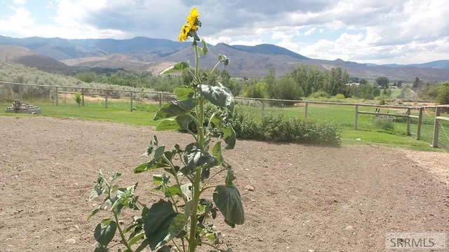 $495,000 | 15 Skinner Lane, Salmon, ID 83467