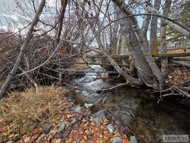 $495,000 | 15 Skinner Lane, Salmon, ID 83467