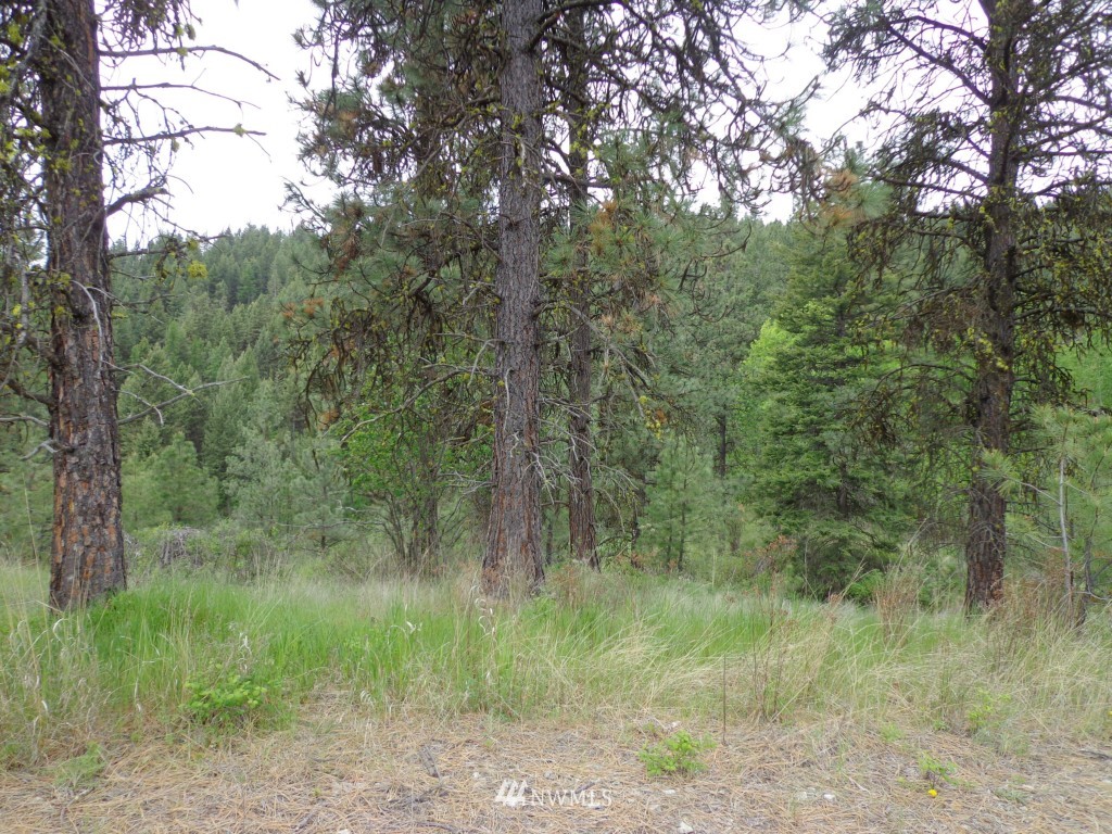 -tbd Redmond Road Republic, WA 99166 - Photo 11 of 15 Gallery Image 11