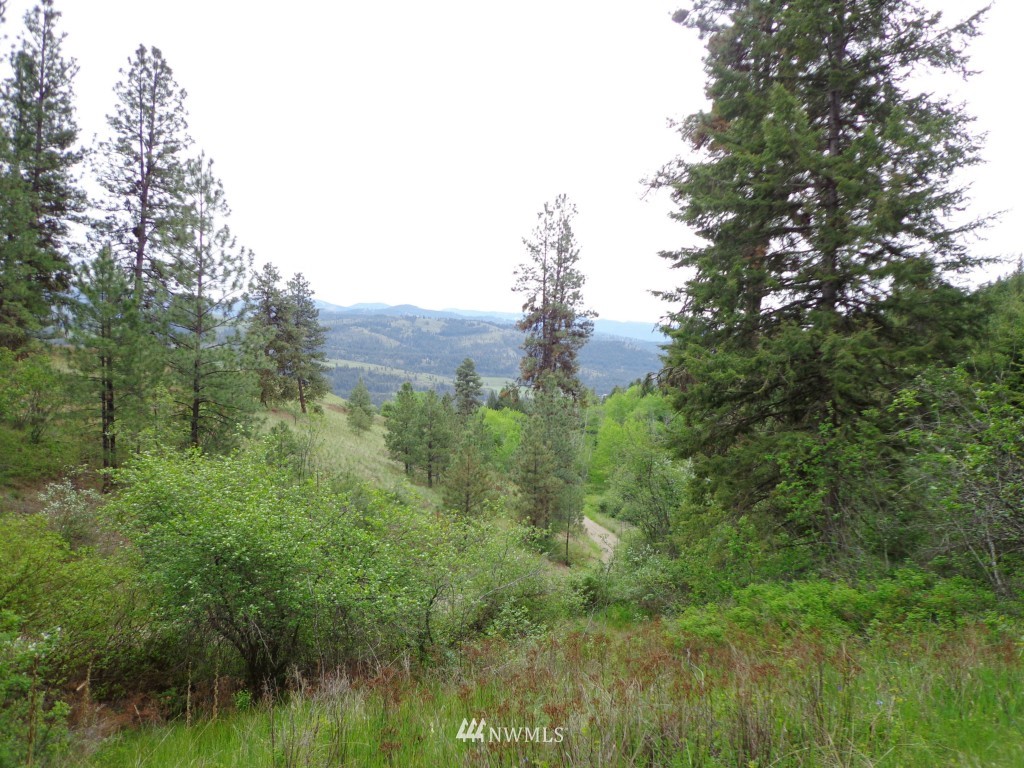 -tbd Redmond Road Republic, WA 99166 - Photo 12 of 15 Gallery Image 12