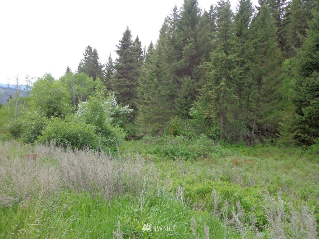 -tbd Redmond Road Republic, WA 99166 - Photo 14 of 15 Gallery Image 14
