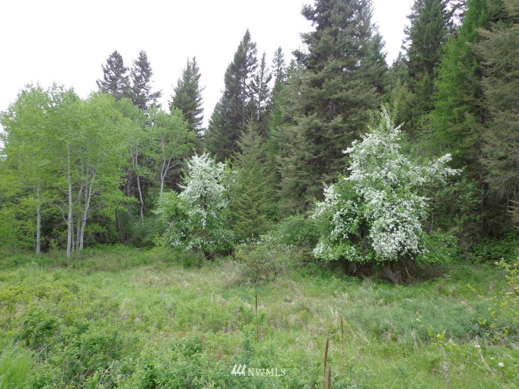 -tbd Redmond Road Republic, WA 99166 - Photo 15 of 15 Gallery Image 15
