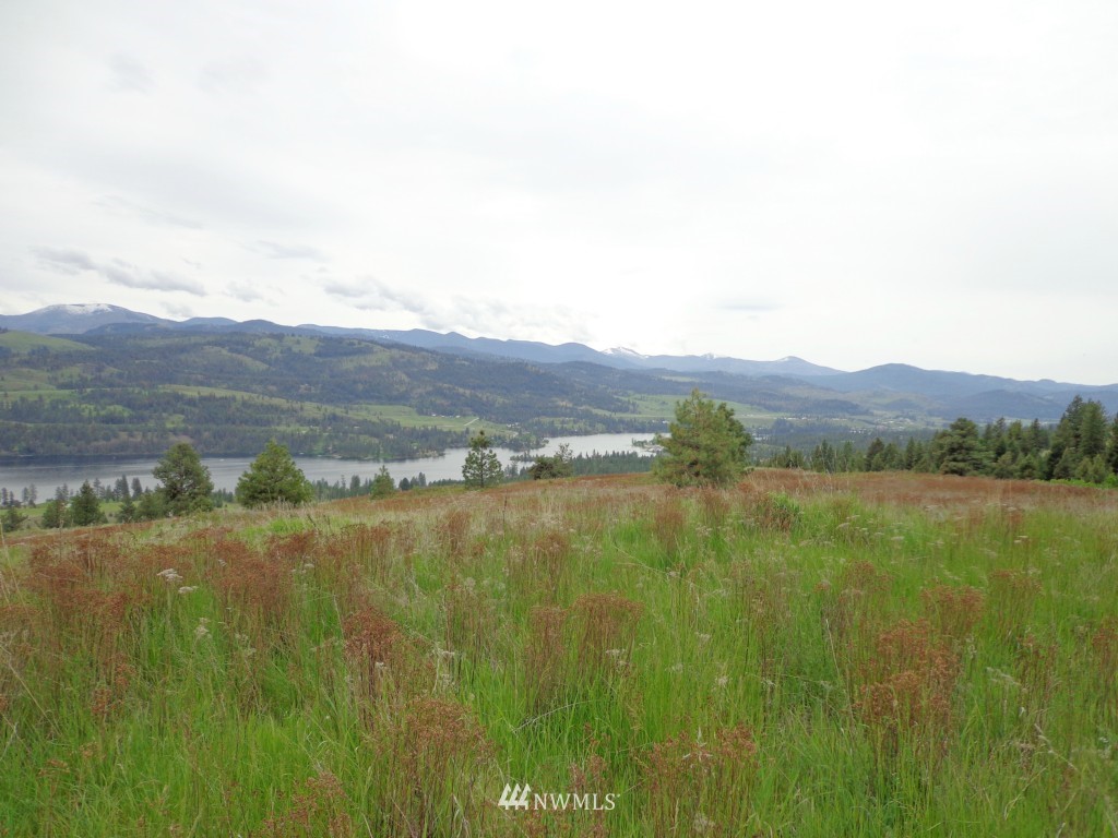 -tbd Redmond Road Republic, WA 99166 - Photo 4 of 15 Gallery Image 4
