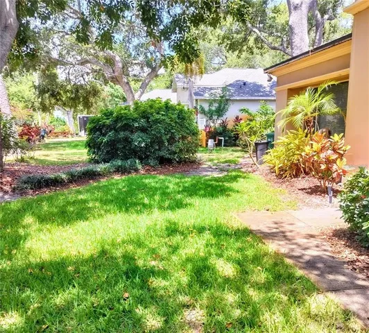 a view of a yard with plants and a large tree