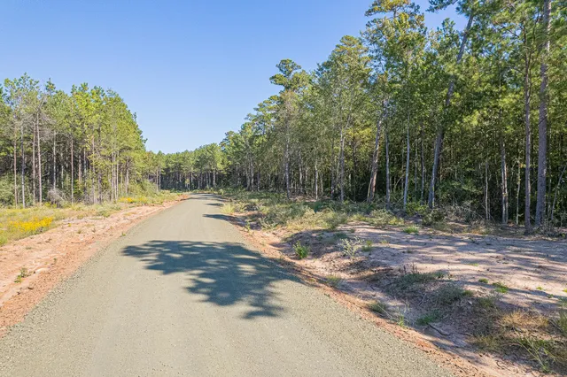 $625,000 | 54 Fm 705, Broaddus, TX 75929