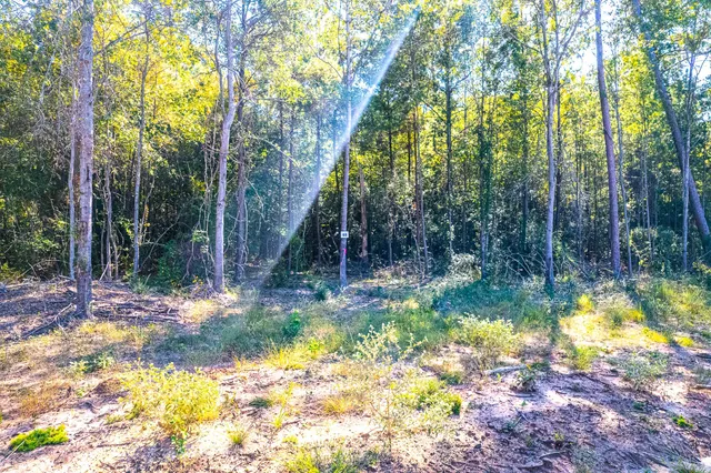 $625,000 | 54 Fm 705, Broaddus, TX 75929