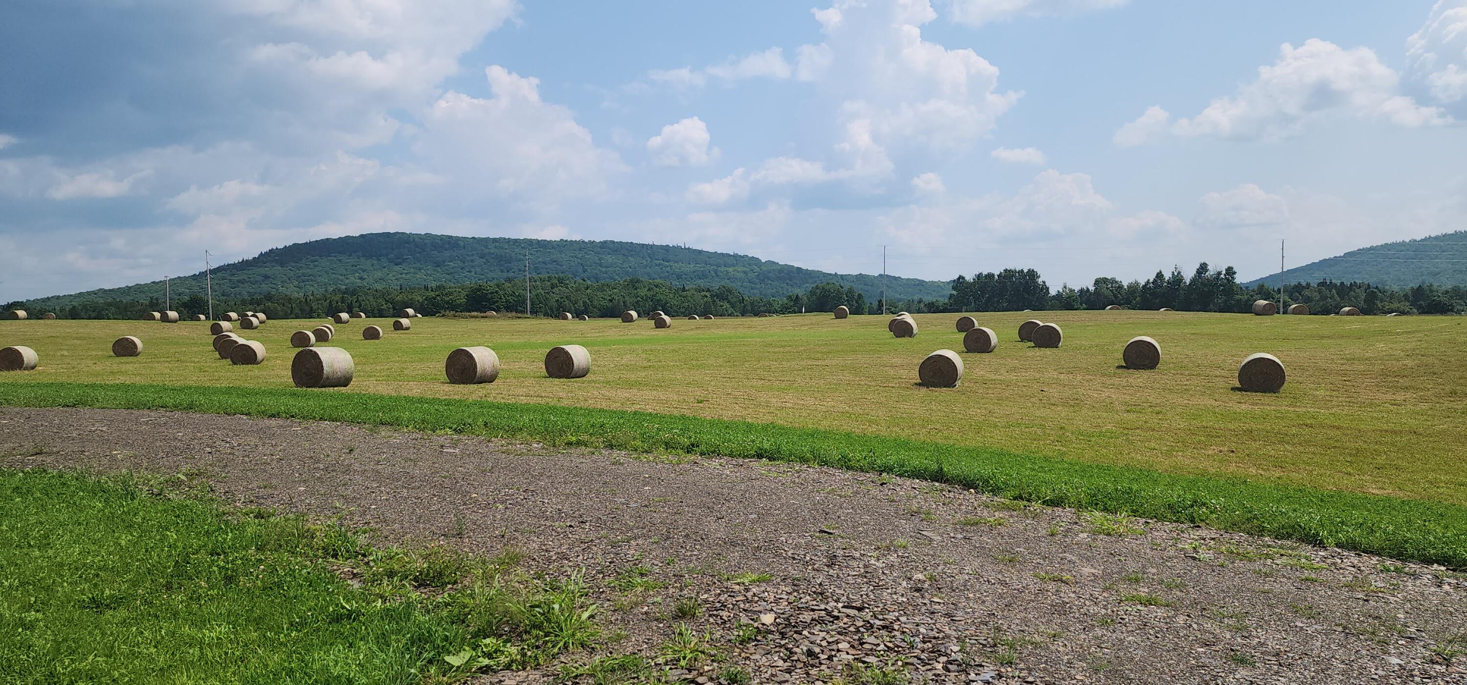 524 Ridge Road Oakfield, ME 04763 - Photo 11 of 26 20240802_130623