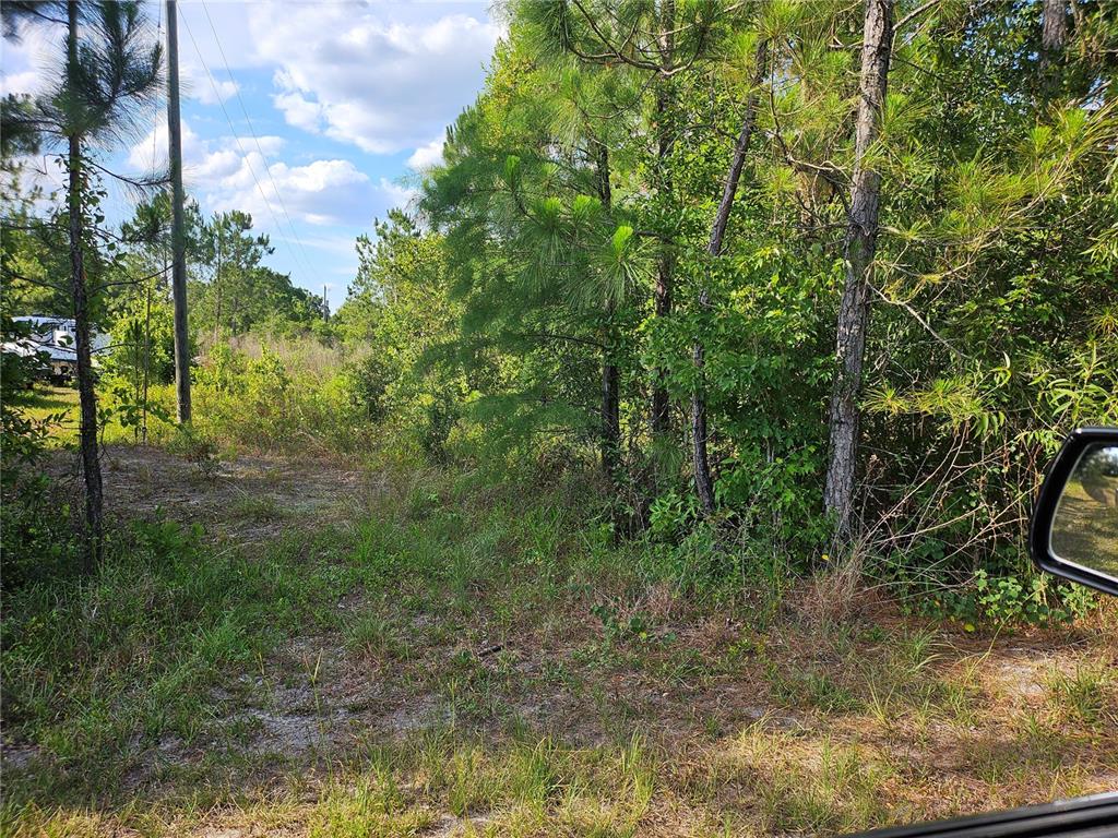 Sr-33 Clermont, FL 34714 - Photo 2 of 9 a view of a forest