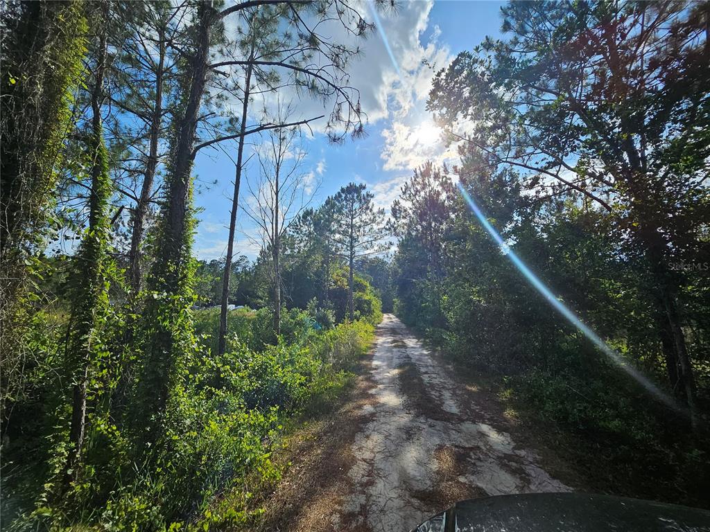 Sr-33 Clermont, FL 34714 - Photo 5 of 9 a backyard of a house with lots of green space